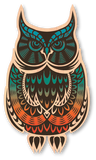 Color Rainbow Owl