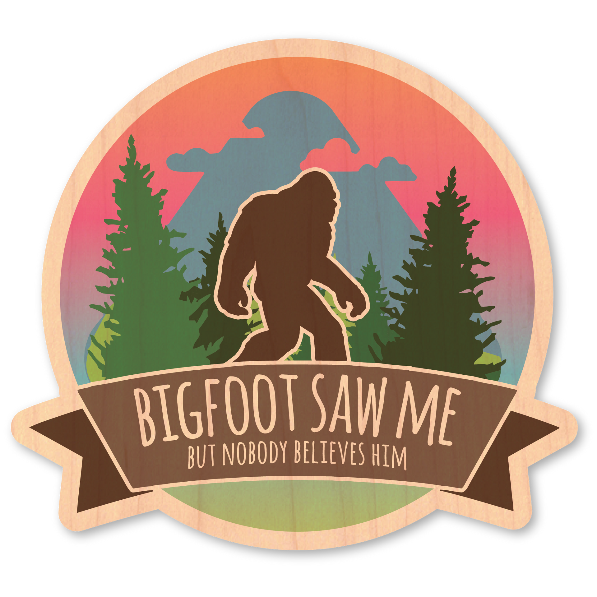 Bigfoot Saw Me...