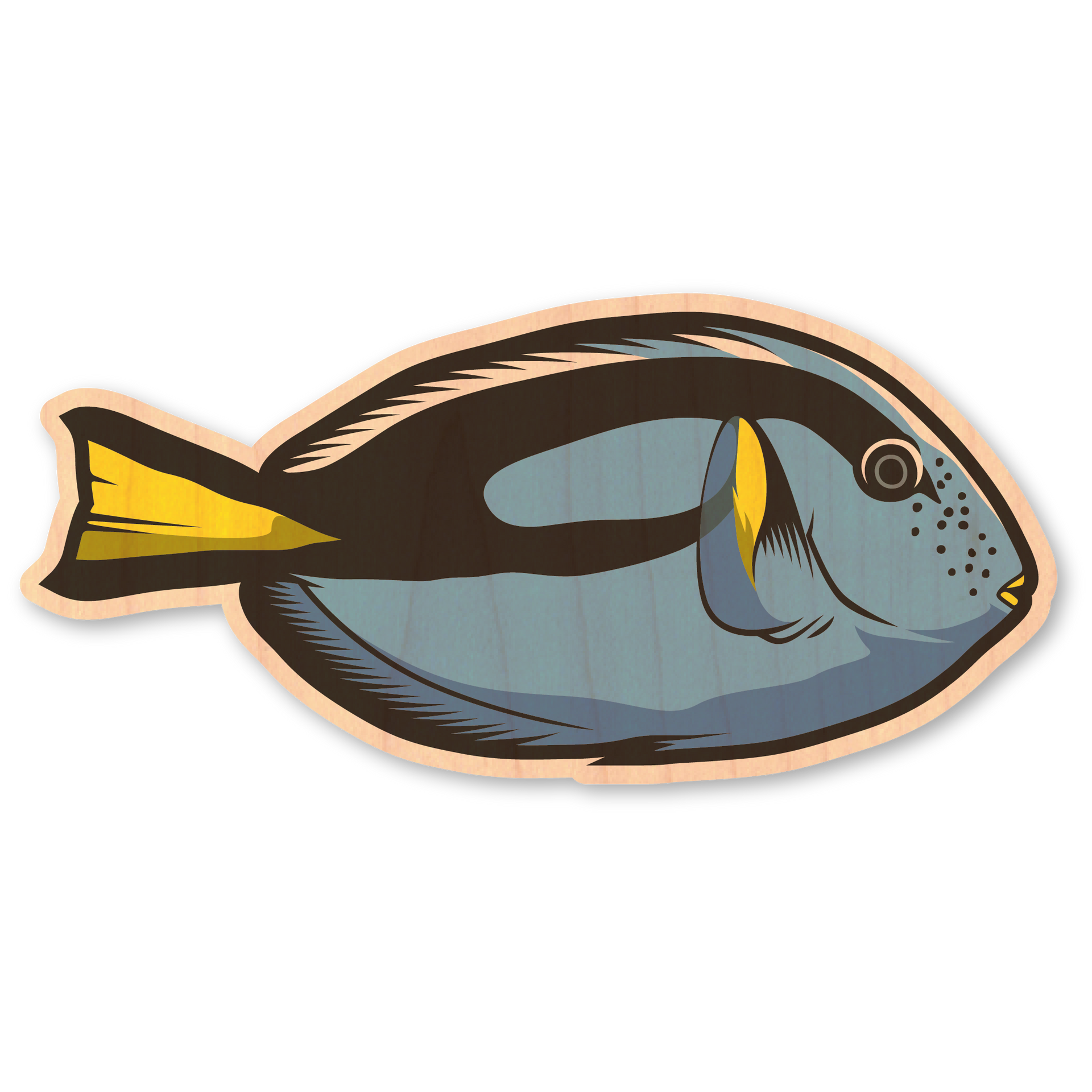 Blue Tang