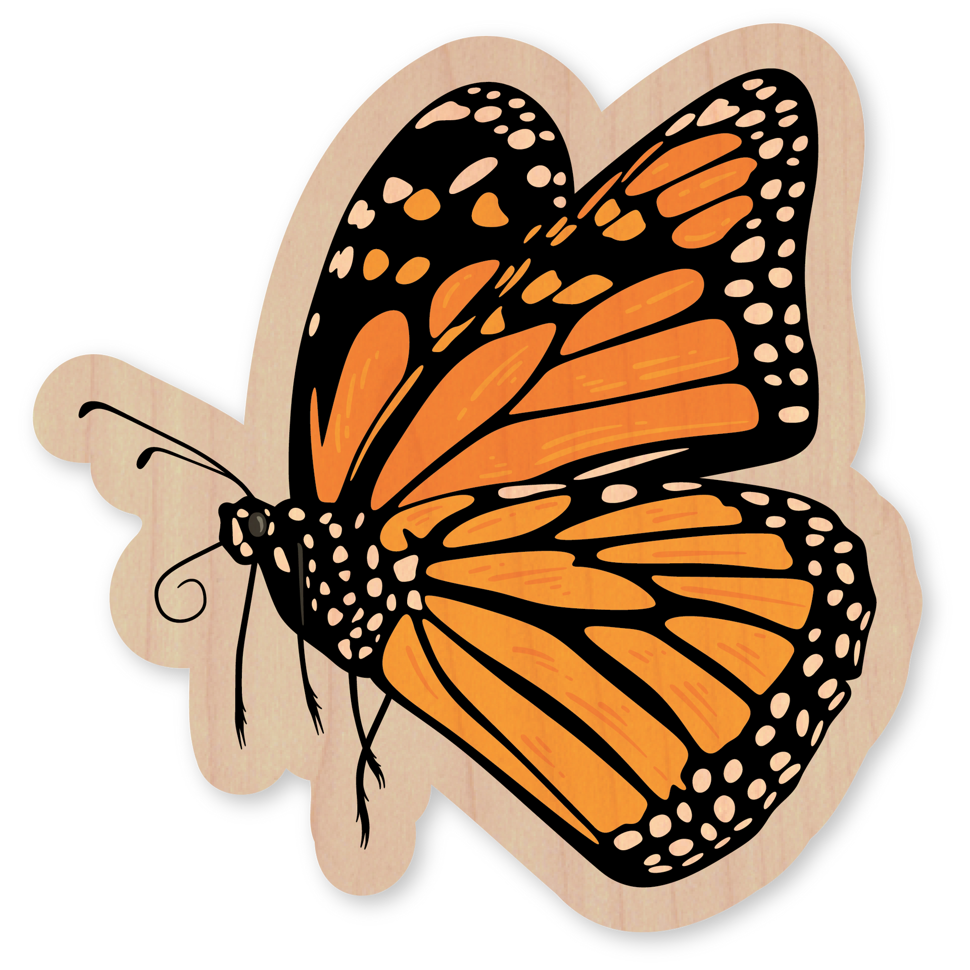 Monarch Butterfly