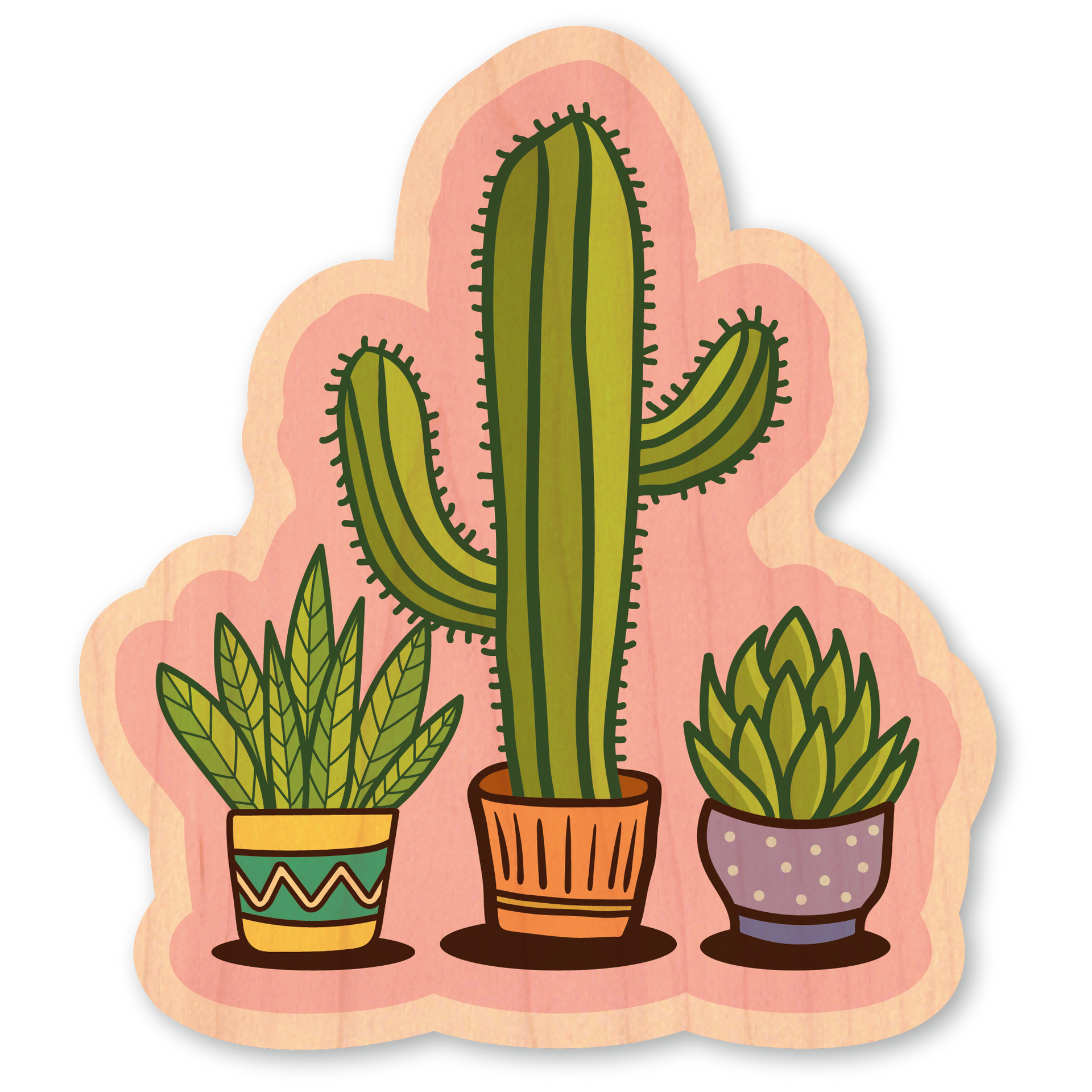 Cute Cacti