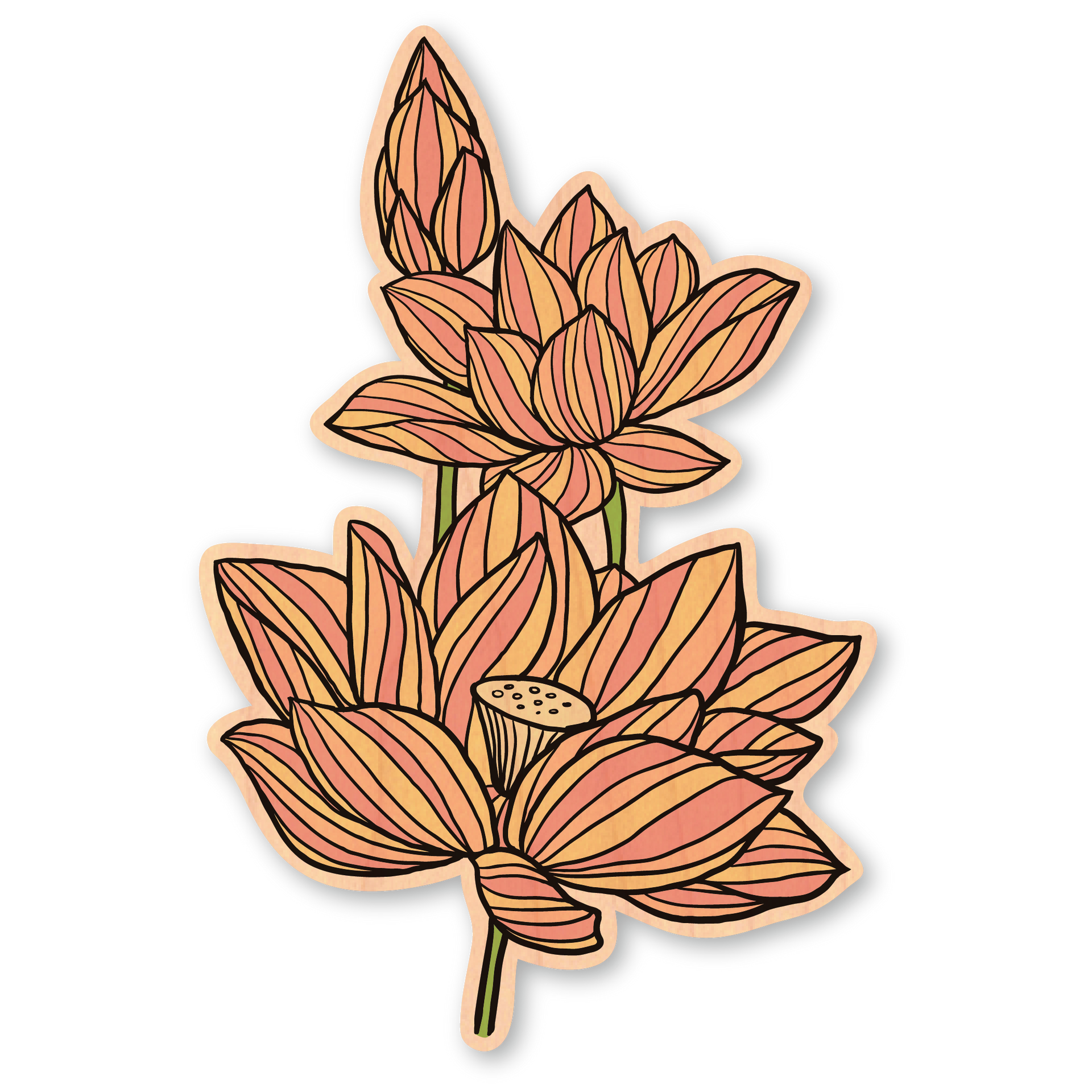 Lotus Flower