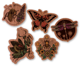 Insect Mini Pack