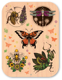 Insect Mini Pack