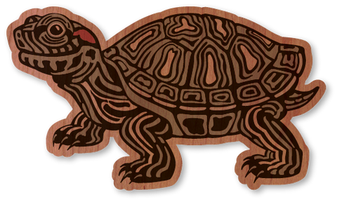 Color Red Eared Slider Turtle
