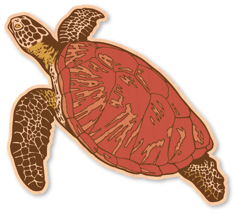 Color Halftone Sea Turtle
