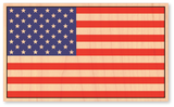 Color American Flag