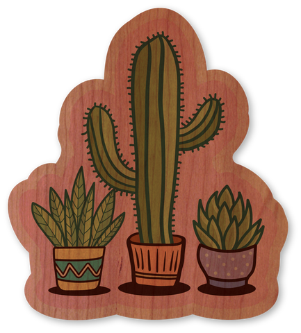 Cute Cacti